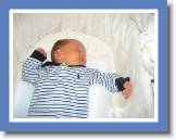 jake sleeping * 2592 x 1944 * (1.11MB)